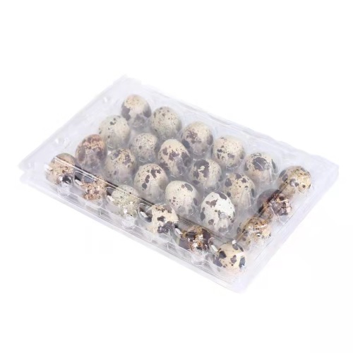 Partihandel Quail Eggs Bricka Blister Box Clamshell Förpackning