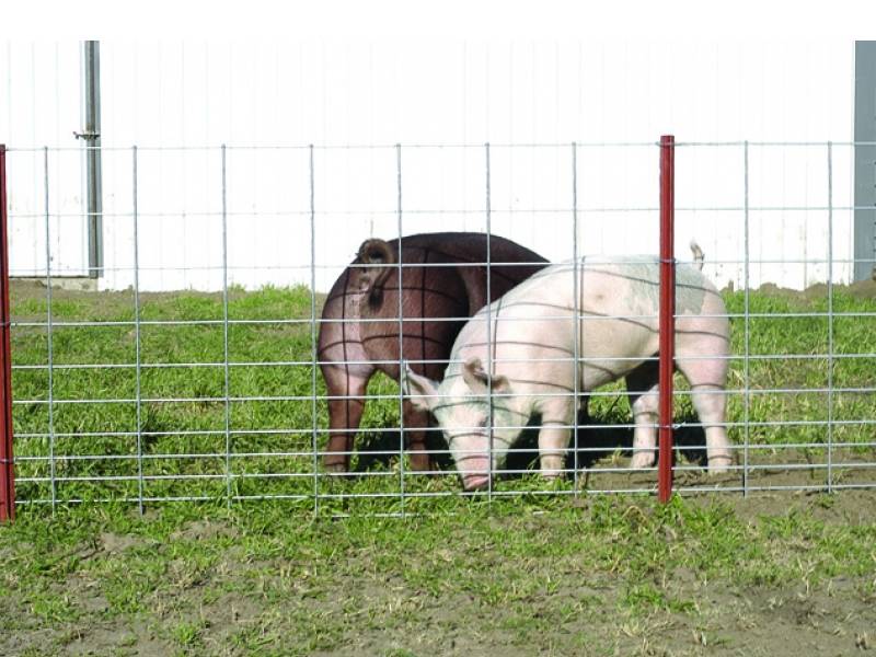 south africa knotted galvanized perimeter tensile field mesh fence for animal breeding