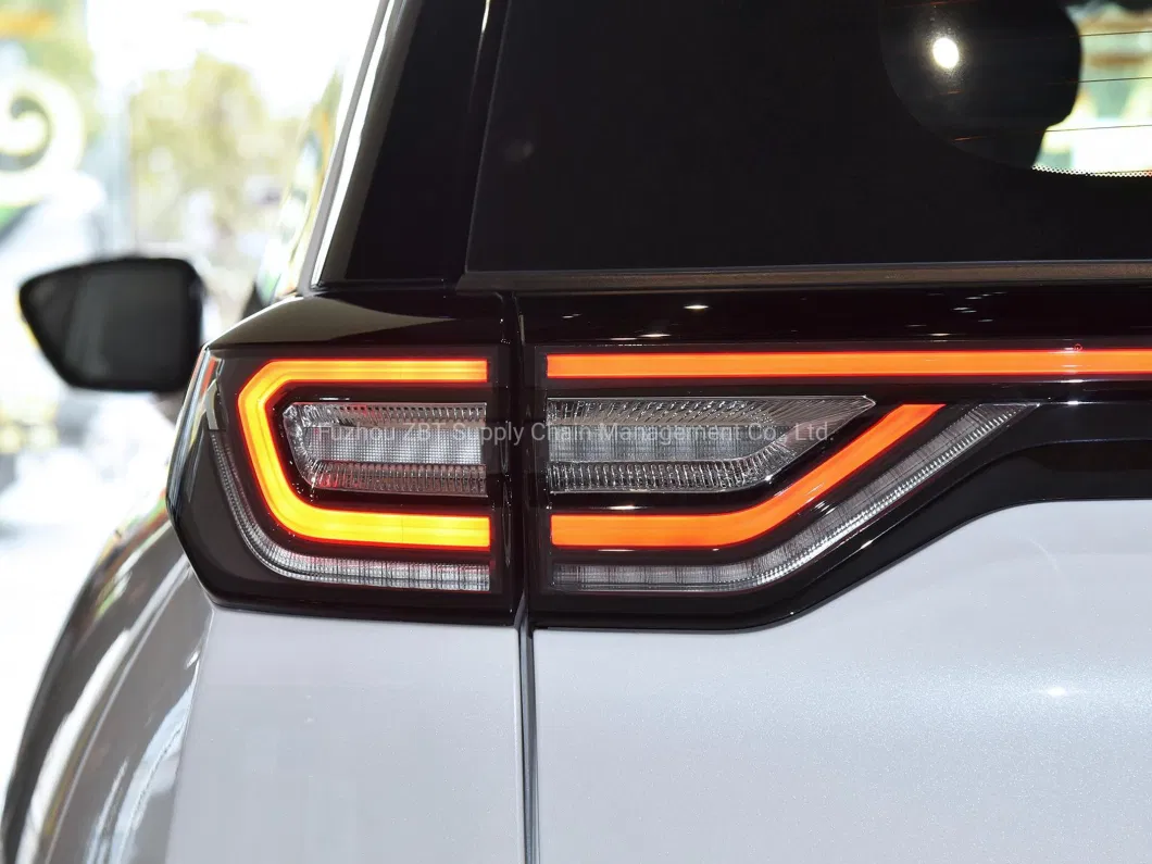 Weltmeister Wm W6 Electric Cruising Range 520km 620km Nex PRO Ace 4X2 2WD Super Smart EV SUV Motor Auto Cars with Fast Charge