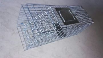 Animal Cage Traps