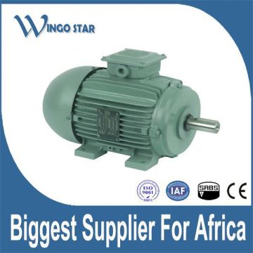 adjustable speed motor