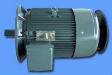 YD Series pole-changing and multi-speed ac silnik