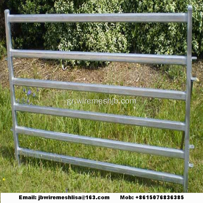Γαλβανισμένο φράχτη άλογο / φράχτη βοοειδών / κτηνοτροφικό φράχτη