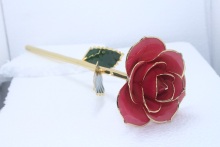 Navy Blue Pearl Lacquered Genuine, 24 kara gold dipped flowers