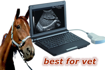 mini laptop veterinary ultrasound for horse pregnancy