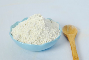 Origin Chinese Top Grade Dehydrated Garlic Powder