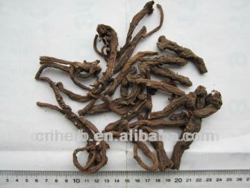 Dried Dandelion root,Taraxaci radix,Taraxacum officinale,Pu gong ying,Pugongying,Dandelion tea,Dandelion coffee