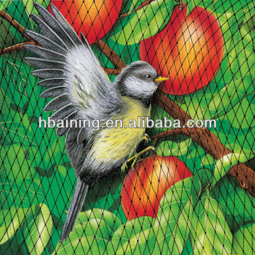 protect bird net
