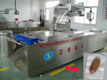 Seafood and Fish Fillet DZR420 Vacuum Packing Machine