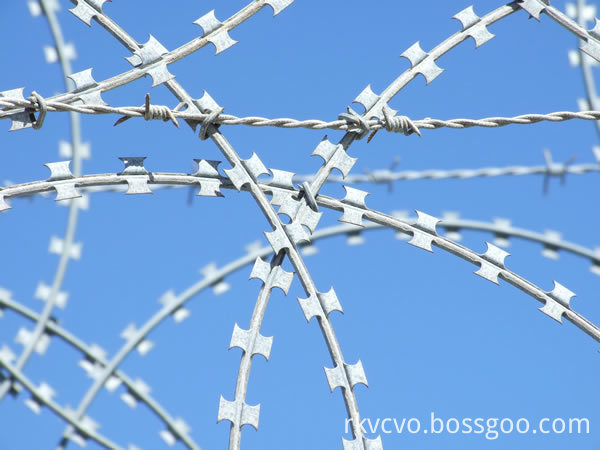 Razor Barbed Wire-2