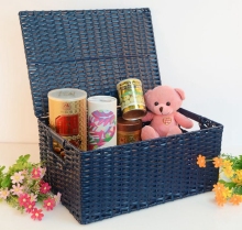 Rectangular Plastic Rattan Storage Trunk