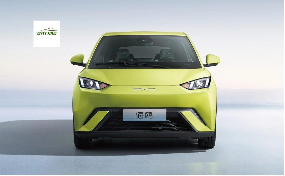 Mini Car Small Electric Car Wholesale Cheap Price Electric Vehicle Ontime Seagull