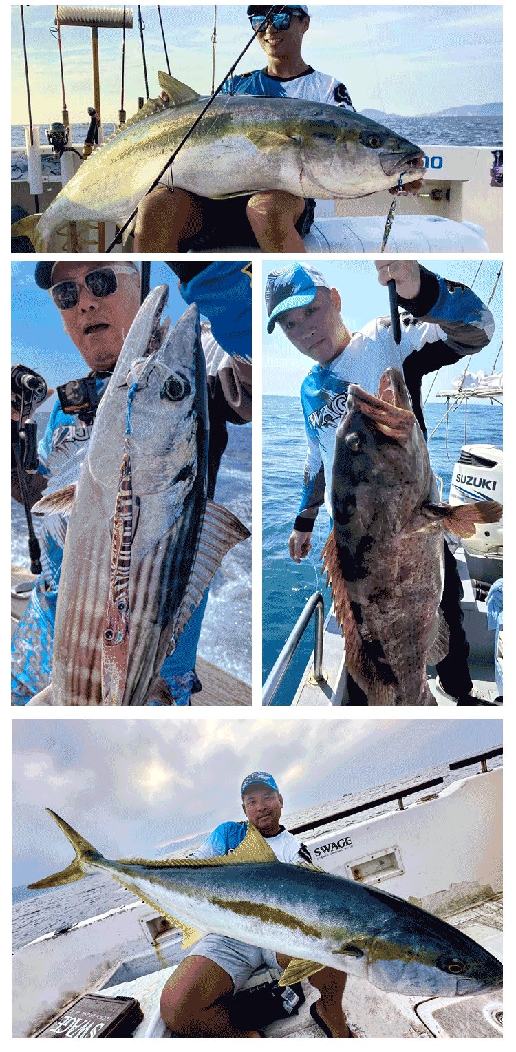 默认名称 default name