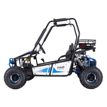 Tao Motor 2023 New Design Electric Go Kart Buggy
