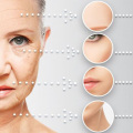 Dermal Fillers Injectables Medical Grade