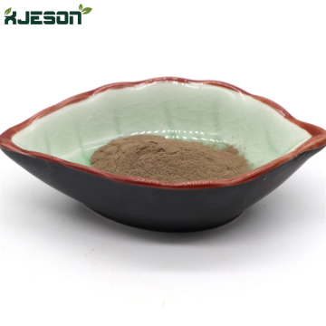 High Quality Apple Fruit Extract Apple Polyphenol Phloretin