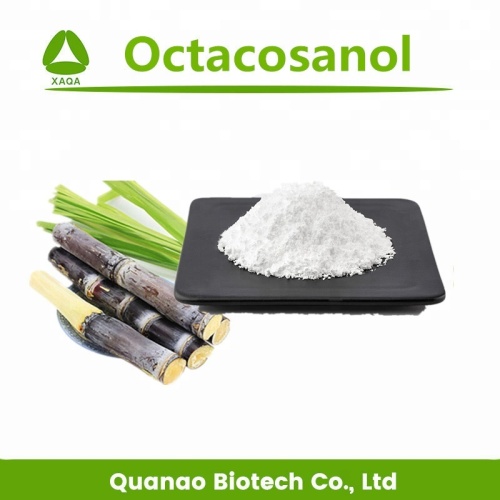 Extracto de cera de caña de azúcar octacosanol polvo 90% precio