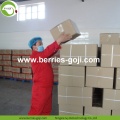 Wholesale Super Food Improve Eyesight Ningxia Wolfberry