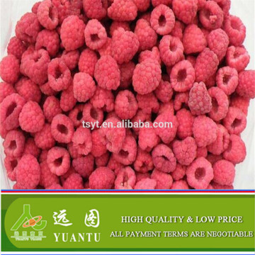 Good Taste Frozen Raspberry Whole and Crumble