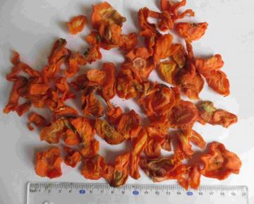 Grade A and B Dehydrated Carrot Cross Cut