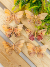 Butterfly craft kindergarten