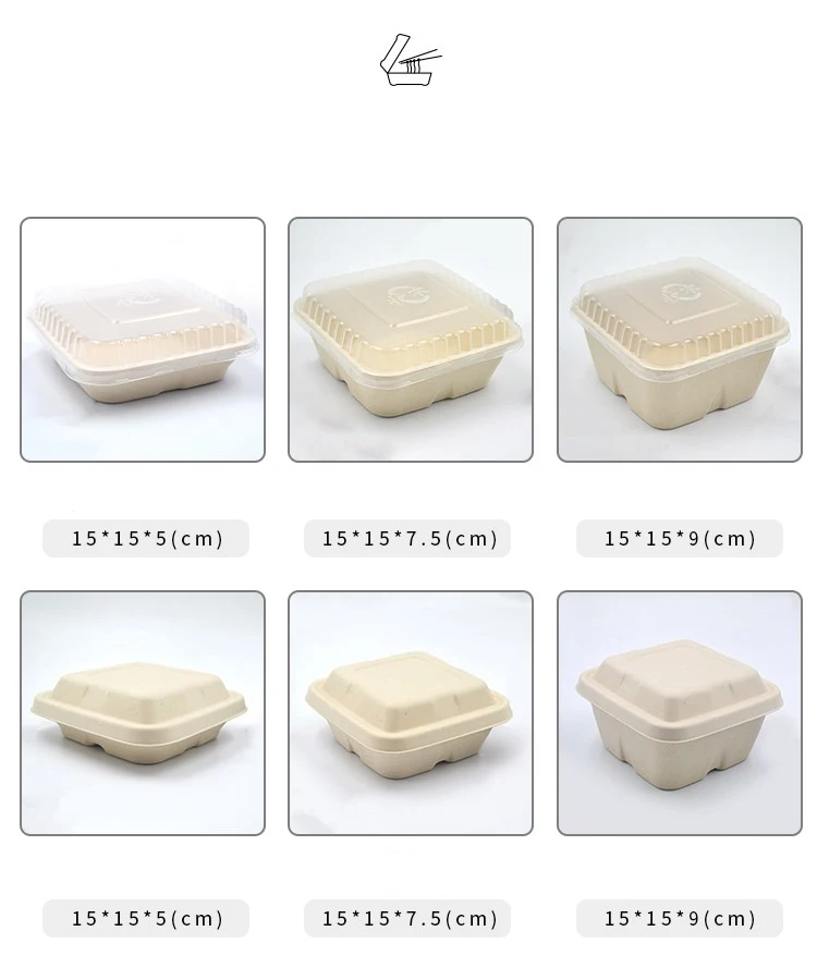 Disposable Eco-Friendly Corn Starch School Lunch Tray