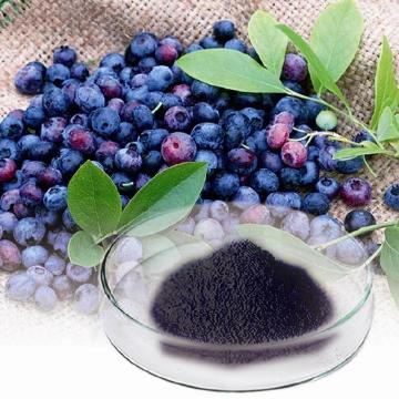 Bilberry Extract 25% Anthocyanin From Fruit