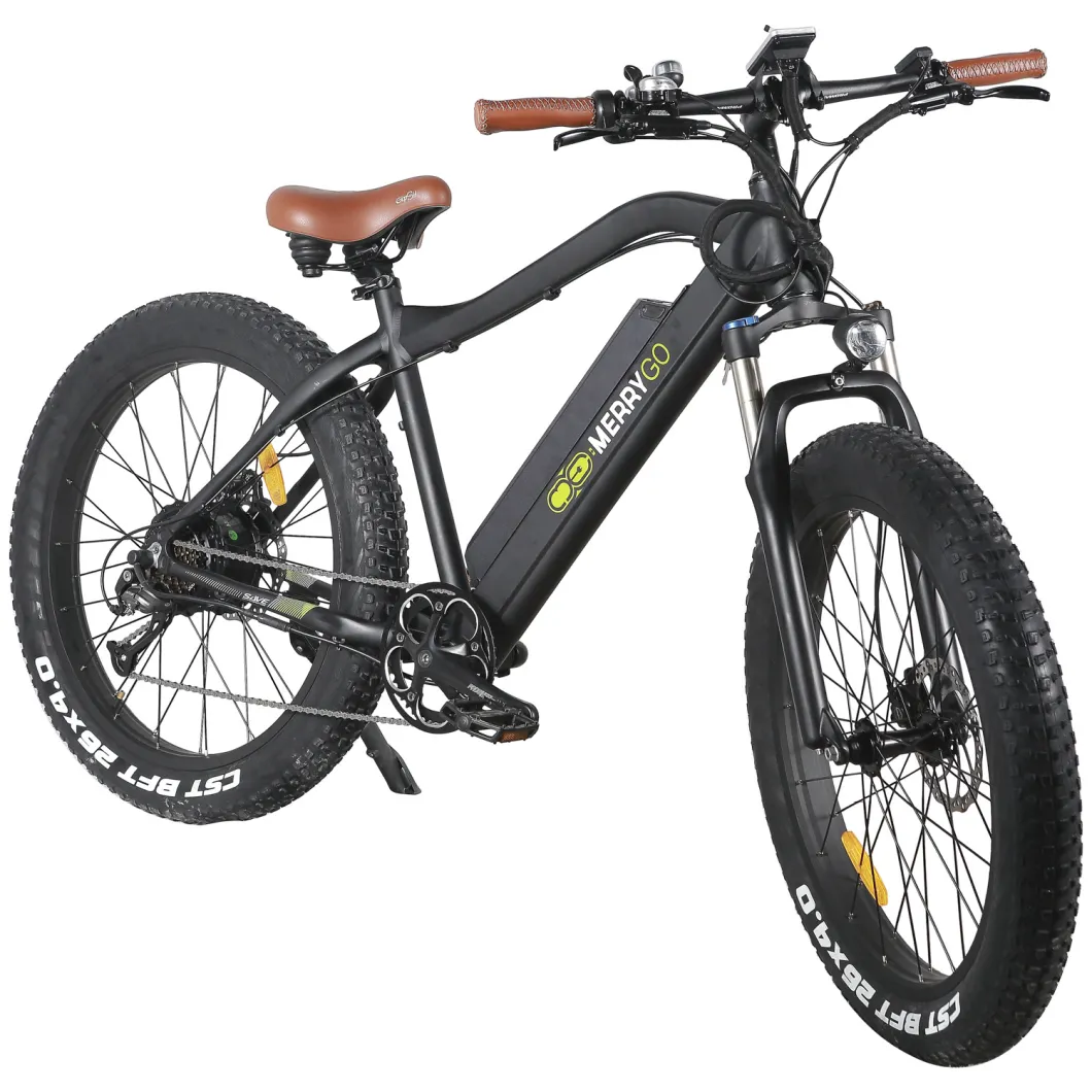 Paladin 48V 350W Lithium Battery Fat Tire Electric Snow Bicycle