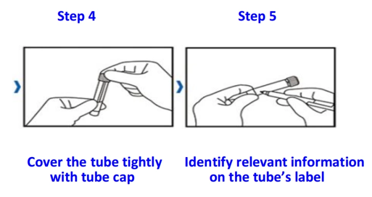 Disposable Sampling Collection Test Transport Tube with Swab