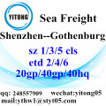 Shenzhen Sea Freight Shipping Agent to Gothenburg