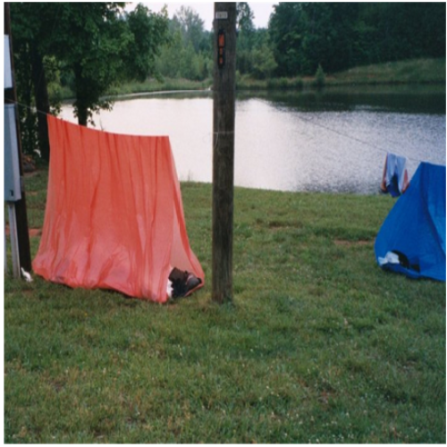 Carpa de tubo de refugio de emergencia 2.4m * 1.8m