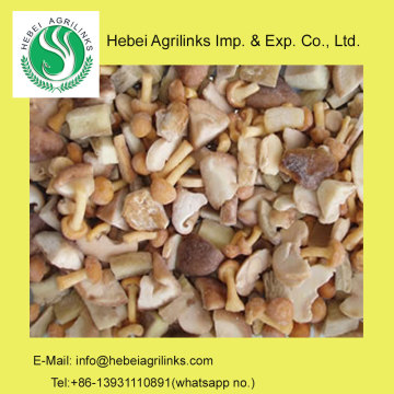 Frozen IQF Mixed Mushrooms