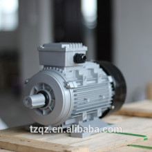 CE approved low cost YS Series small powerful electric motors
