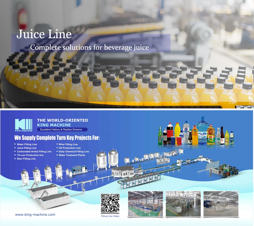 Automatic 3 in 1 Soft Drink Manufacturing Plant