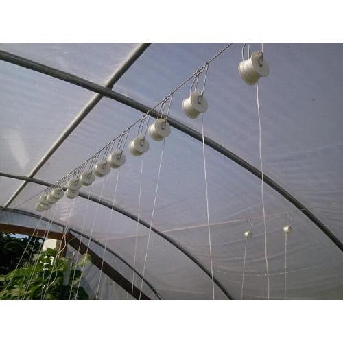 Tunnel Plastic Film Greenhouse the cultivation of vegetables