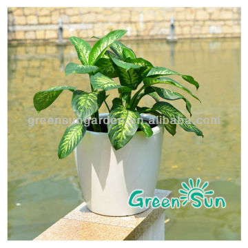 plastic plant pots wholesale