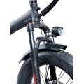 20 inch gấp lốp béo xe đạp điện ebike tuyết