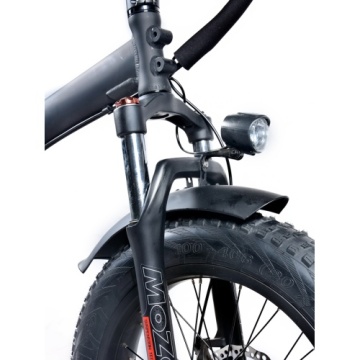 Bicicleta eléctrica ebike de la nieve del neumático gordo plegable 20inch