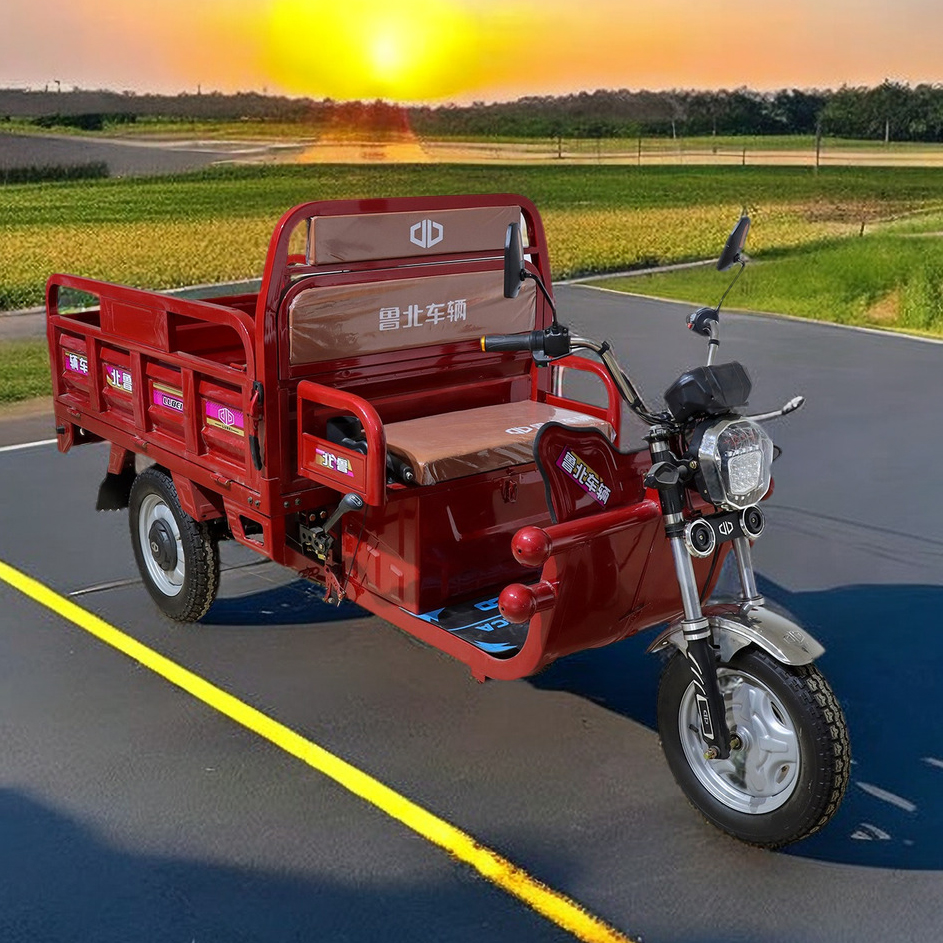 Three wheel cargo vehicle Three wheel cargo vehicle