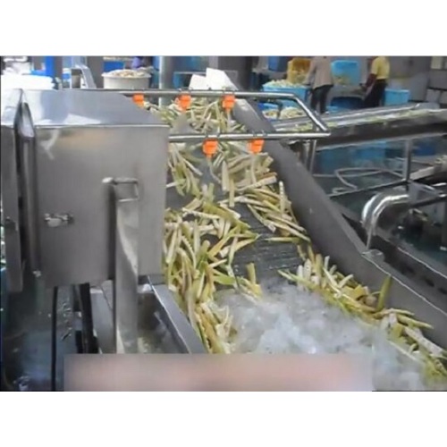 Temperature Standard Automatic Belt Dryer for Garlic Slices