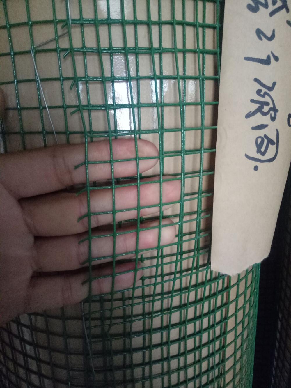 PVC Coated dilas Wire Mesh