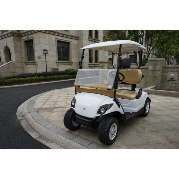 2 Seater Gasoline or Gas Powered Golf Carts