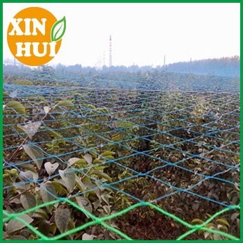 pe knotted mesh bird netting