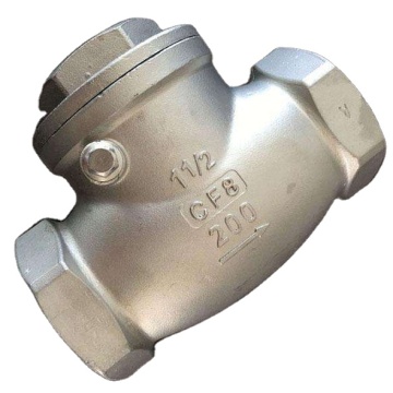 316 threaded check valve