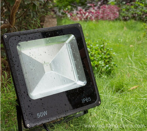 IP65 remote flood light