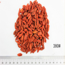 Goji certificato organico di dimensione 380