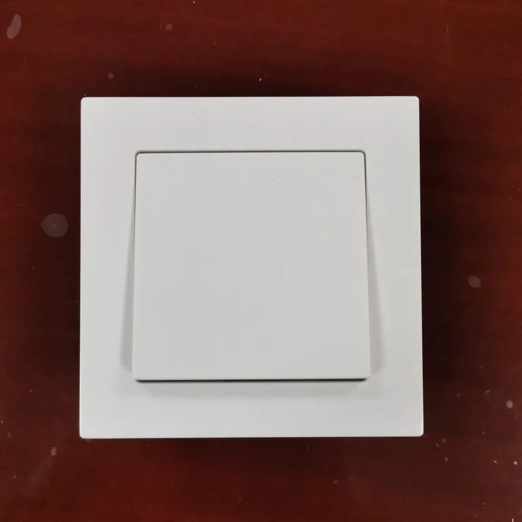 German Euro Type Wall Socket 2 Gang White Outlet