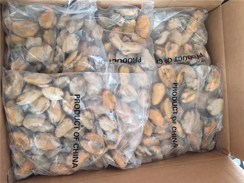 mrożone zielone odmiany mięso małży o cenie fabrycznej