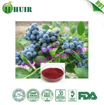 Health Supplement Natural Bilberry Extract, Bilberry extract, Anthocyanidins