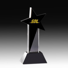Shiny Crystal Star Award